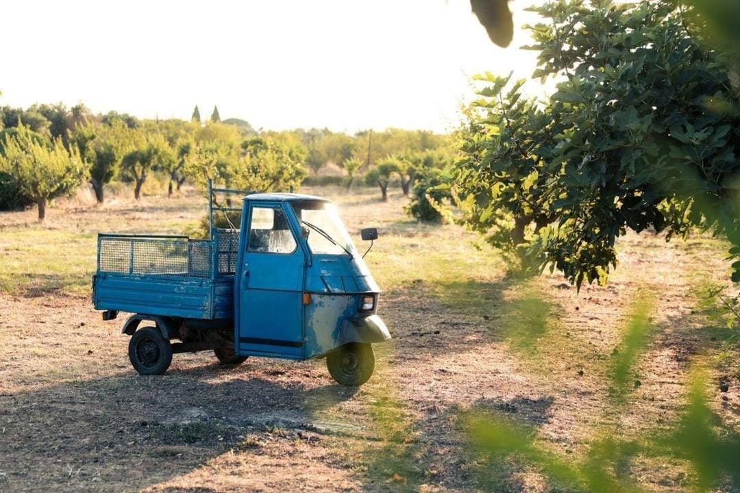 Casa In Campagna ⋅ Forimia Villa San Vito dei Normanni Exteriör bild